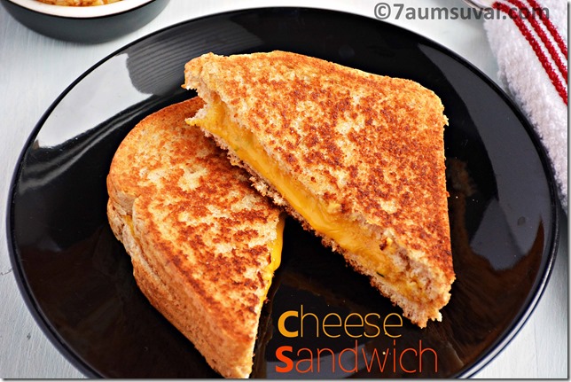 Cheese sandwich / Grilled cheese sandwich