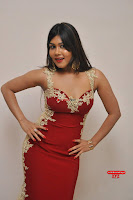 Rachana Smith in a Red Deep Neck Leg Split Gown ~  Exclusive Galleries 016.jpg
