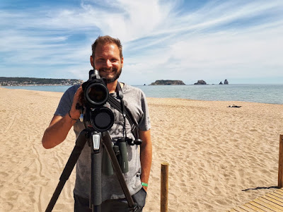 Bird watching in L'Estartit Catalonia