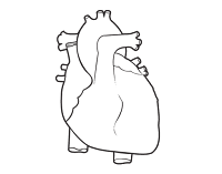 corazon-colorear-plantilla-preescolar