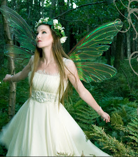 Peri Atau Fairy - infolabel.blogspot.com