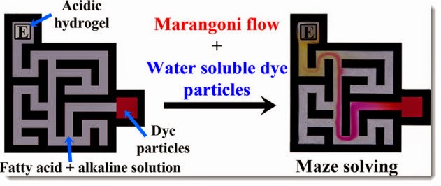 Maze Solving Using Fatty Acid Chemistry