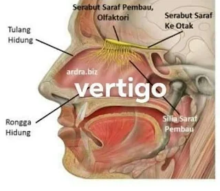 Cara Mengatasi Sakit Kepala / Vertigo Melalui Lobang Hidung