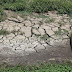 A desalinizar echando mano de la energía solar