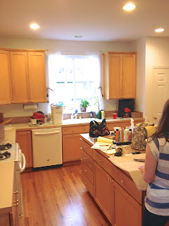 kitchen remodeler, kitchen remodeling, Bellevue, Kirkland, Issaquah, Medina, WA