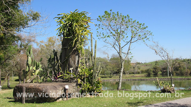 Belos jardins no parque