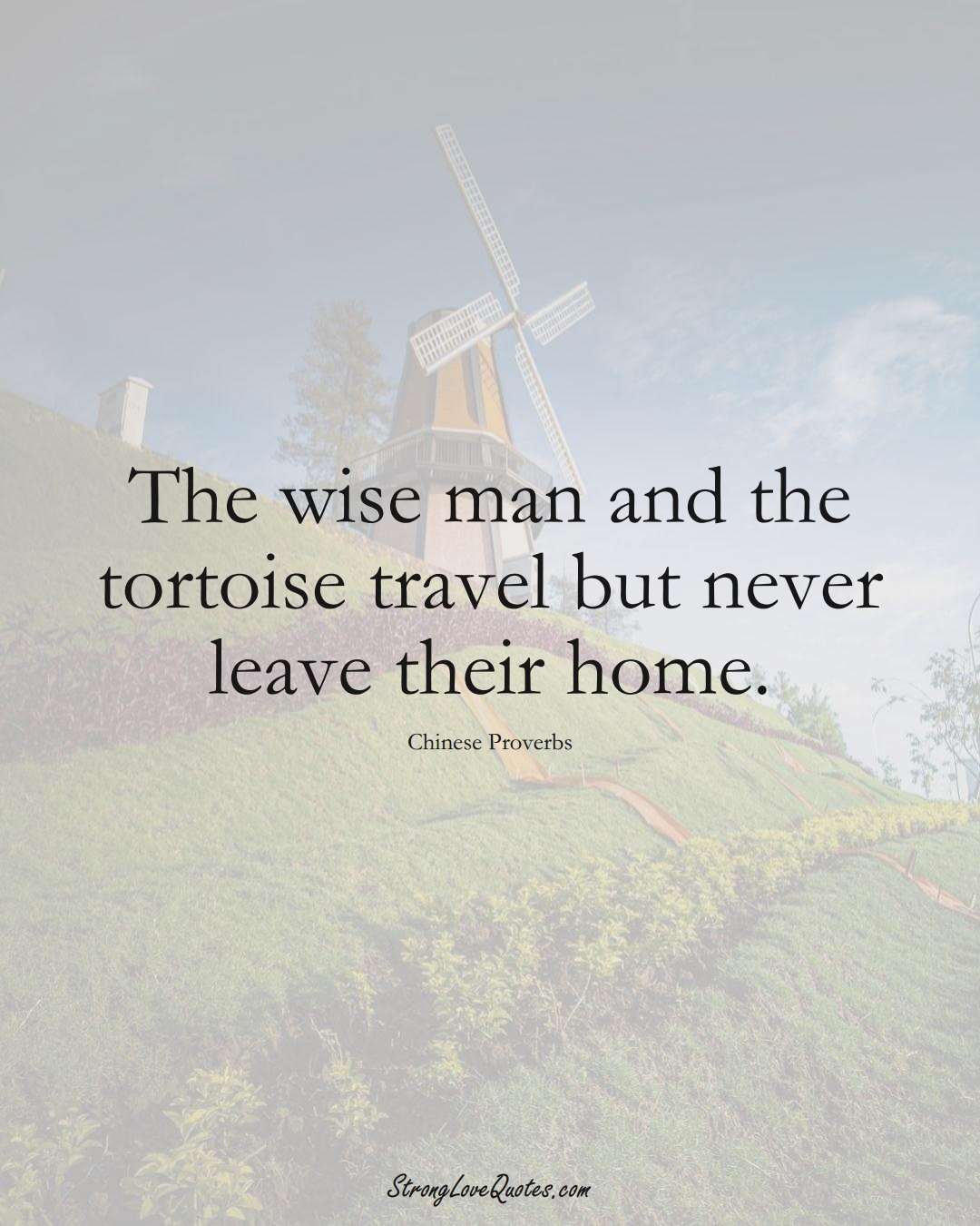The wise man and the tortoise travel but never leave their home. (Chinese Sayings);  #AsianSayings