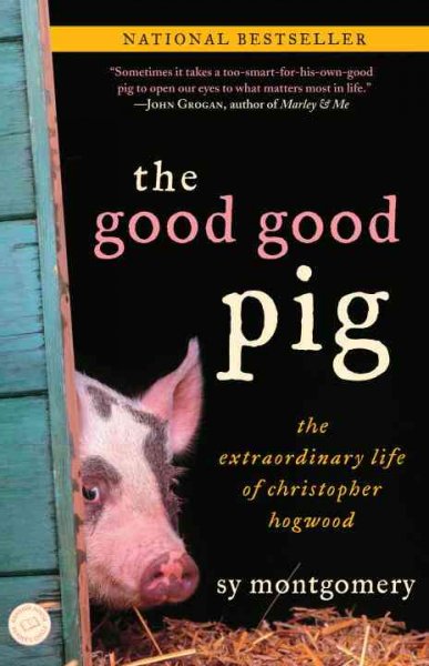 Caroline Bookbinder My Favorite Reads The Good Good Pig