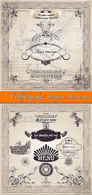Calligraphy design elements vector