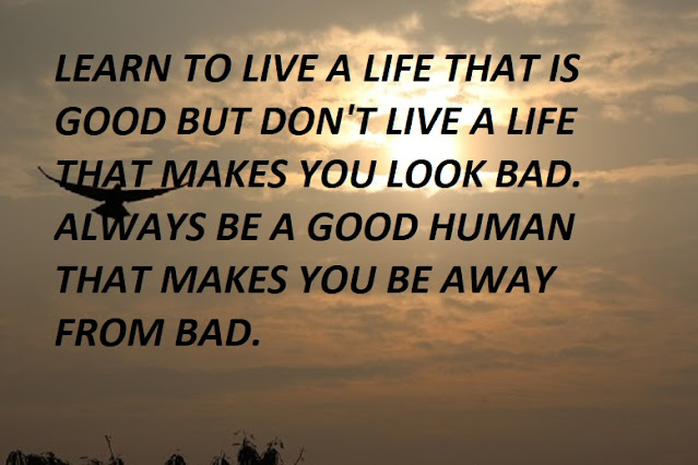 LEARN TO LIVE A LIFE THAT IS GOOD BUT DON'T LIVE A LIFE THAT MAKES YOU LOOK BAD. ALWAYS BE A GOOD HUMAN THAT MAKES YOU BE AWAY FROM BAD.