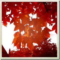 Fall2012