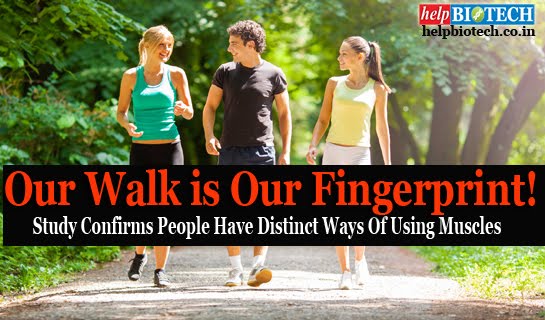 Our Walk is Our Fingerprint !