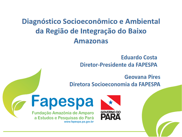 DIAGNÓSTICO SOCIOECONÔMICO E AMBIENTAL DA REGIÃO DE INTEGRAÇÃO DO BAIXO AMAZONAS – 2016 – 2019 – PARÁ – BRASIL.