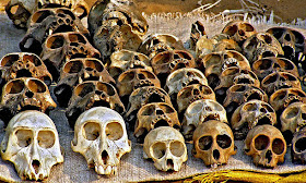 Dead monkey skulls on voodoo fetish market