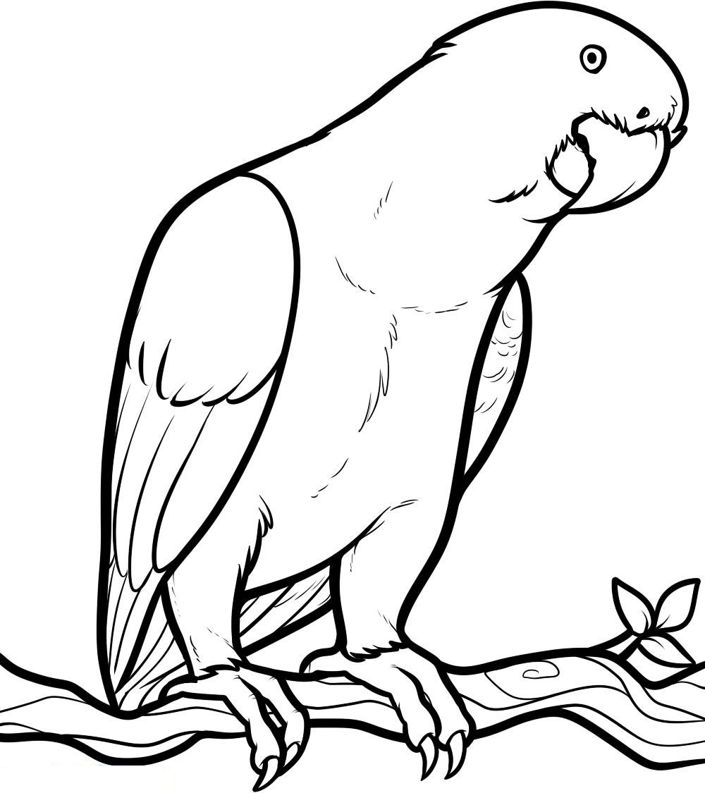 Download Coloring Picture Of Animals For Kids