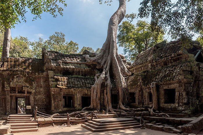 17 Pictures Of Trees That Prove The Miracle Of Life - Ta Promh Temple In Cambodia