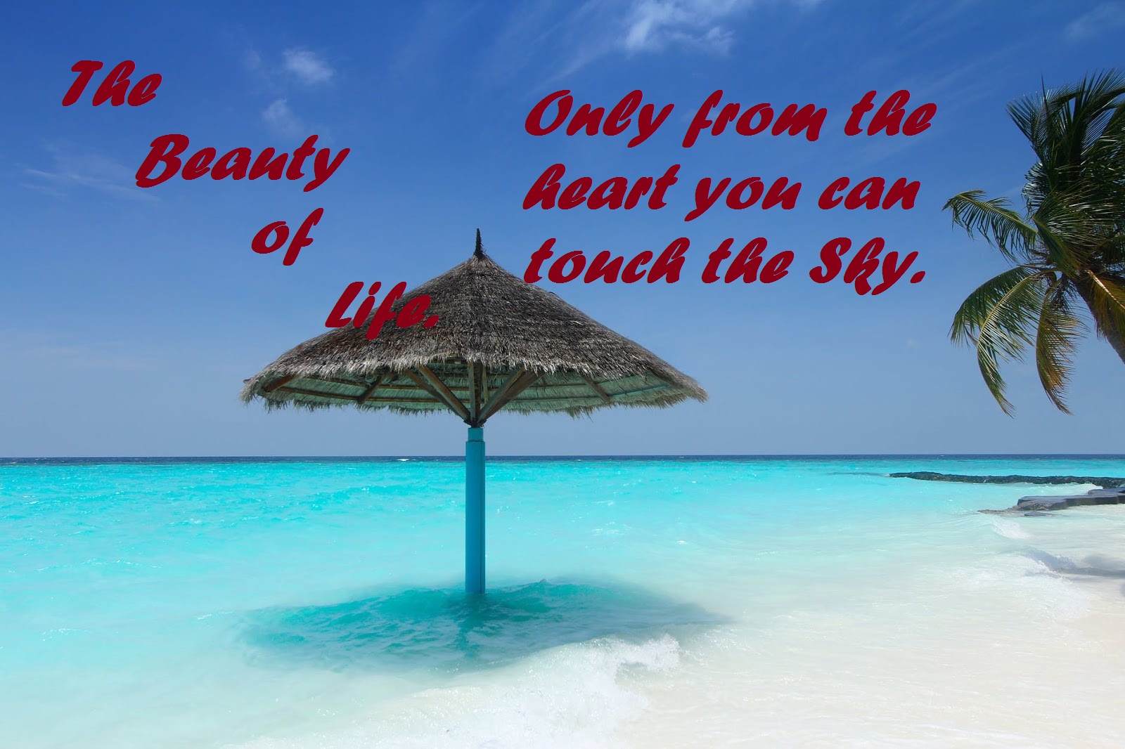 The Beauty Of Life Only From The Heart You Can Touch The Sky