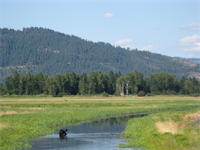  Tamil Nadu Govt. Tightens Rules on Conversion of Wetlands and Agri Lands  