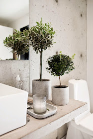 decoracao-casa-banho-wc-banheiro-plantas
