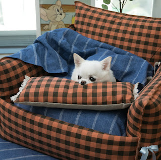 Louis Dog Baguette Pillow - Orange Check - posh puppy boutique
