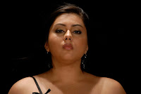 Namitha Hot Photos