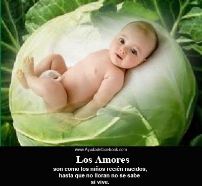 Los Amores Son como los niños recién nacidos, hasta que no lloran no se sabe si vive.
