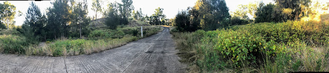 Wide shot of cement road leading to River crossing