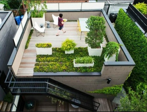  Cara  Membuat  Desain Taman  Atap Rumah  Sederhana Tapi Indah  