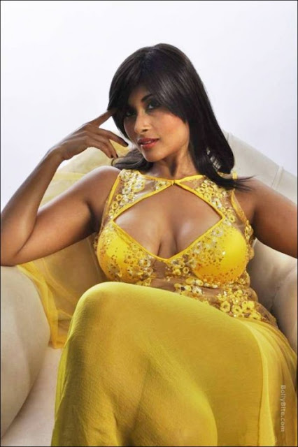 aiysha saagar thigh in transparent dress