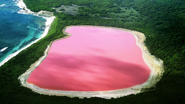 pink hillier lake, pink hillier lake western Australia, wonder of nature, Australia, island of country, lake, amazing pictures, unbelievable pictures 