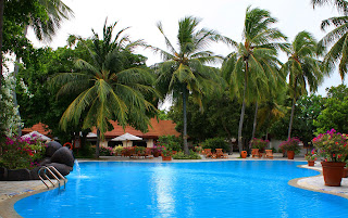 Piscina o alberca con palmeras