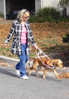 Pictured is Wendy guiding Glenda on a sidewalkless street.  Glenda is looking down at Wendy smiling.