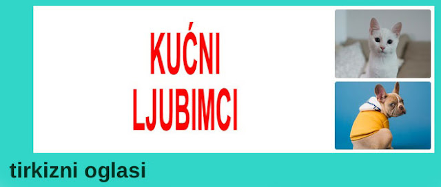 9 - KUĆNI LJUBIMCI TIRKIZNI OGLASI