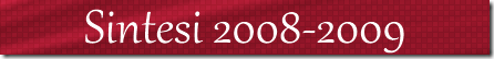 2008-2009