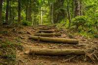 Rough Trail - Photo by John Thomas on Unsplash