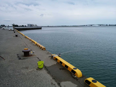 √ 浜名湖 釣り場 おすすめ 128718-浜名湖 釣り場 おす��め