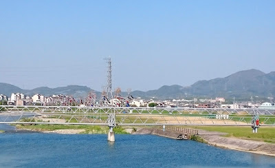 石川河川敷のこいのぼり(富田林市)