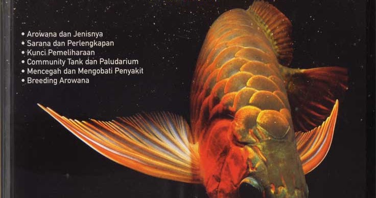 Image Gambar  Untuk Semua  Arowana