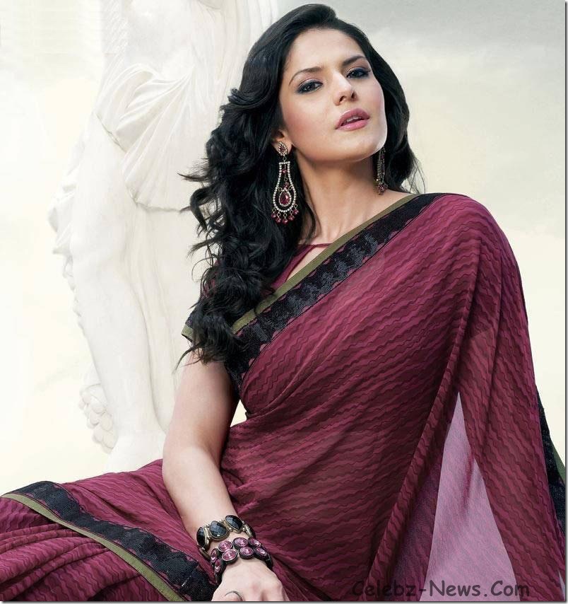 zarine-khan-saree-4