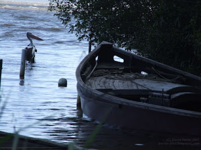 fishing boat and pelican picture - pelican sitting on a post beside a small fishing boat