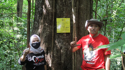 Adopsi Pohon Unglen, Beni Tanggung Biaya Hidup Hingga 5 Tahun