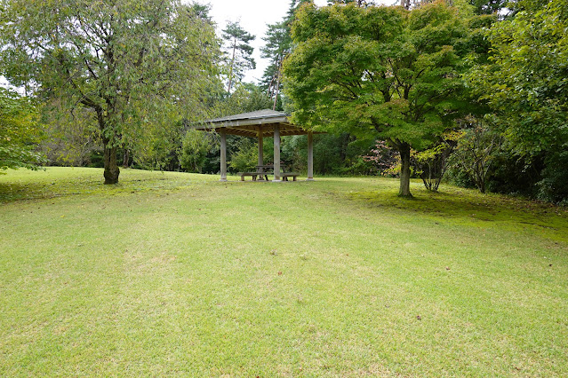 鳥取県西伯郡南部町鶴田　とっとり花回廊　桜の広場