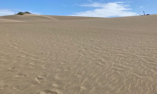 Gobierno aclara terrenos afectados no pertenecen áreas protegidas Dunas-Baní