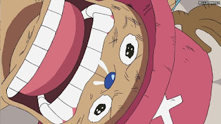 ワンピース アニメ エニエスロビー編 310話 チョッパー Tony Tony Chopper | ONE PIECE Episode 310 Enies Lobby