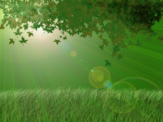 Green Leafs In Light wallpaper