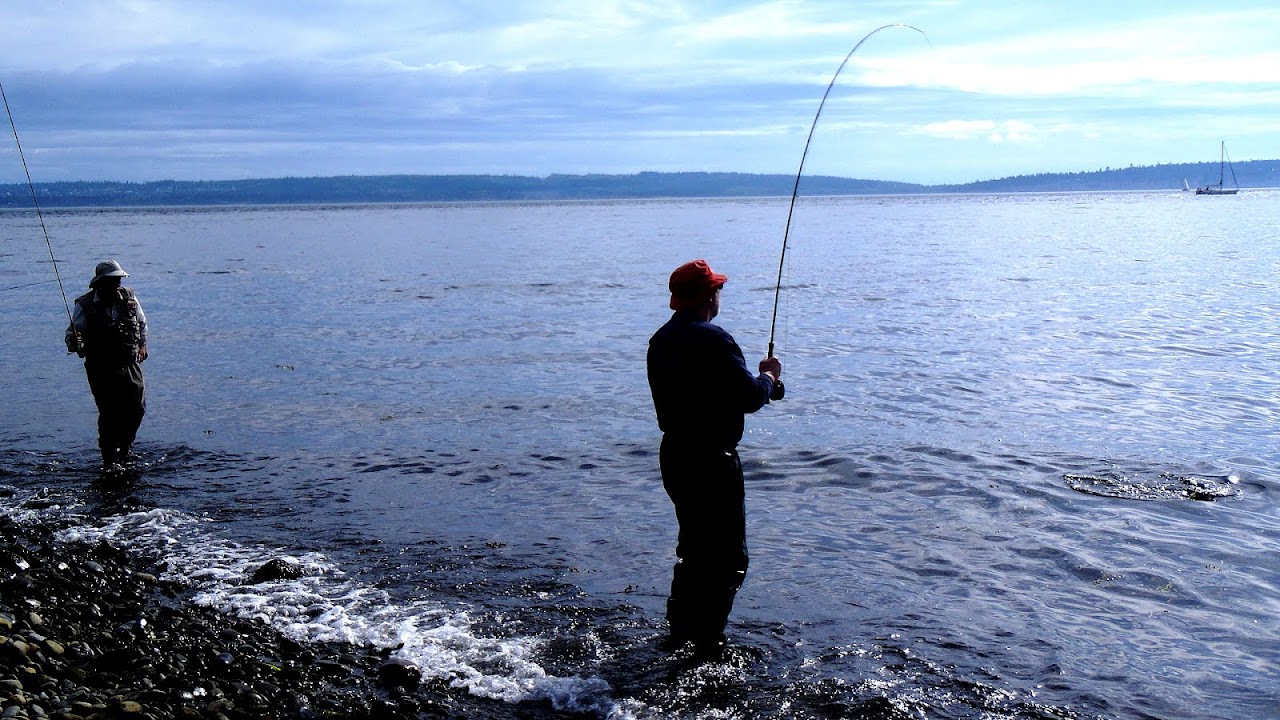 Puget Sound salmon recovery Fish