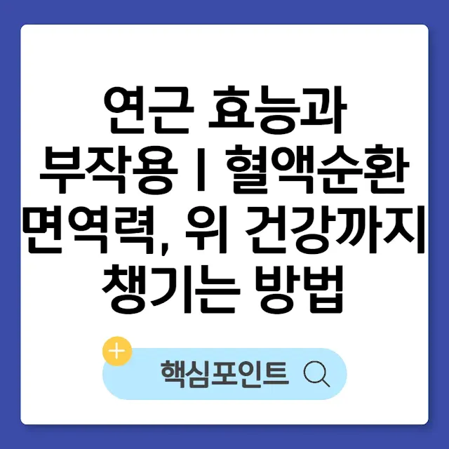 연근 효능과 부작용 | 혈액순환, 면역력, 위 건강까지 챙기는 방법 썸네일