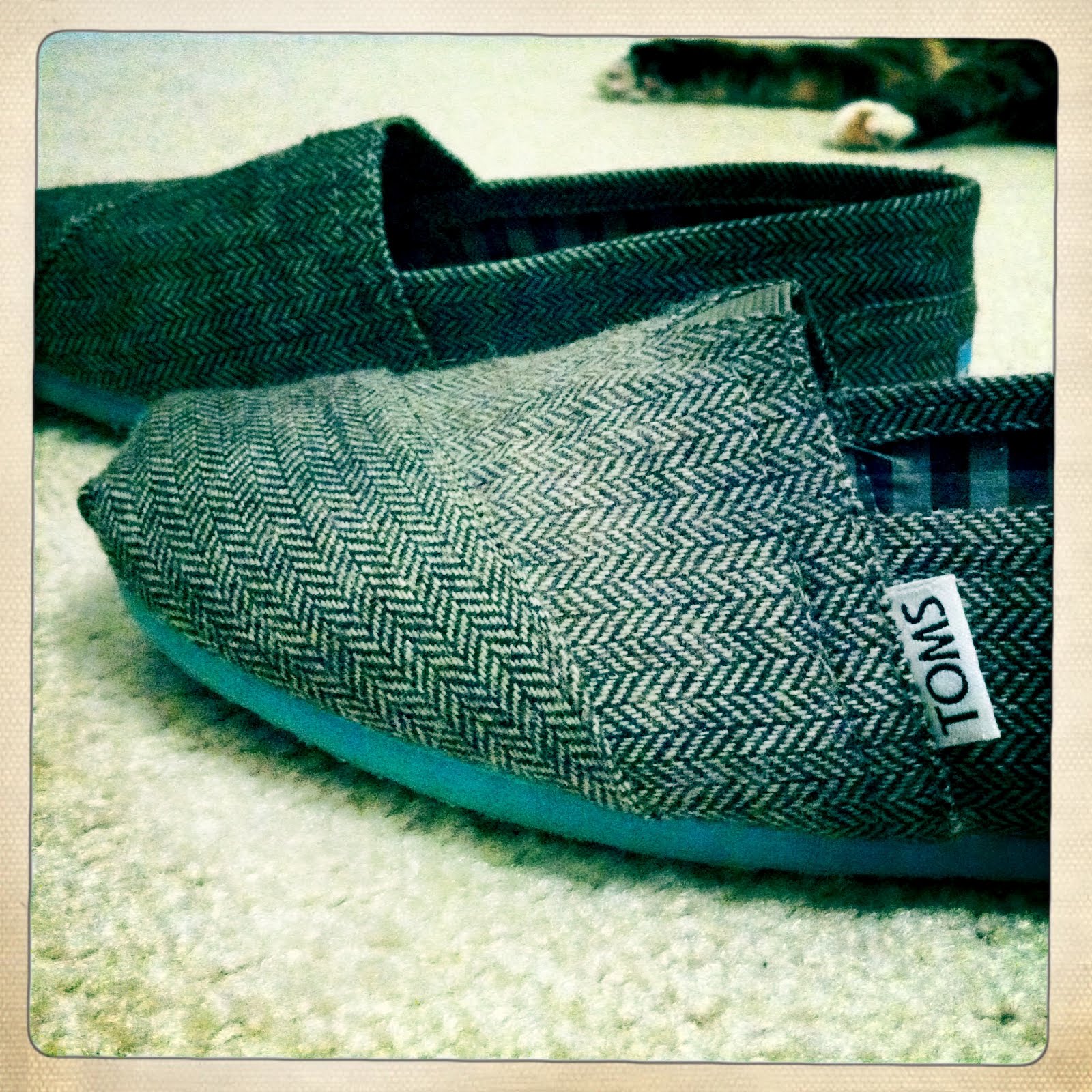 Live Love Life NOWâ„¢: Urban Outfitters Sells TOMS Shoes!