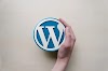 What is Wordpress? How WordPress works?  Explained For Beginners.