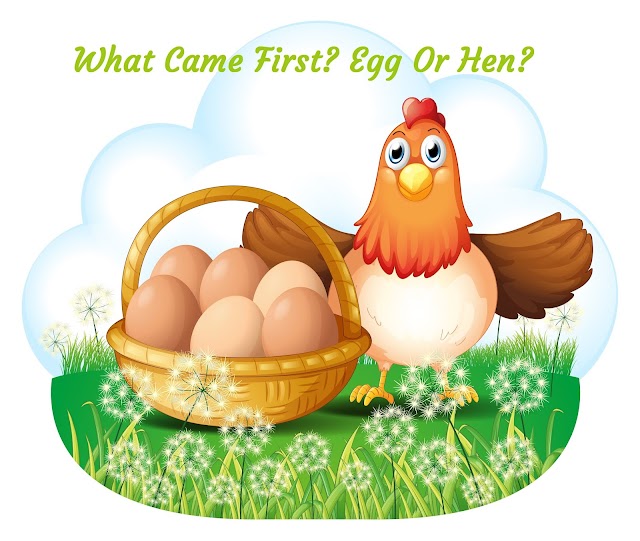 ডিম আগে না মুরগি আগে? What Came First? Egg Or Hen?